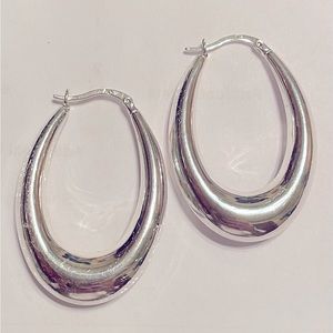 Shiny Large Silver Earrings